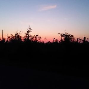 Meet your Posher, Wanda